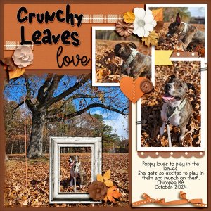 Crunchy-Leaves.jpg
