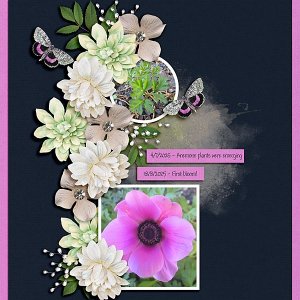 Anemones