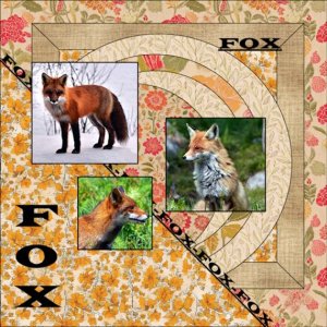 20e-August 2025 -Wild About Styles-FOX.jpg