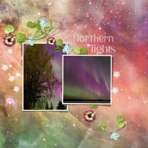northern lights.jpg