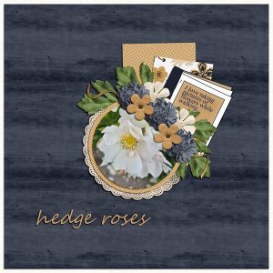 hedge-roses.jpg