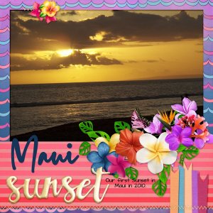 Maui-2010-aimeeh_bigdeal2_tmp4.jpg
