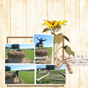 Autumnish---Aug-22-2025.jpg