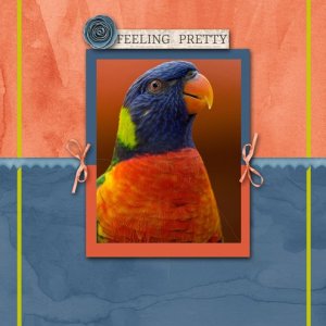 FEELING PRETTY