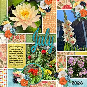 Aprilisa_PicturePerfect300_template4-July flowers 2025_web.jpg