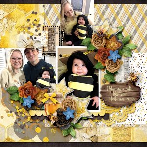 Little Bee