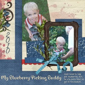 Picking-blueberries