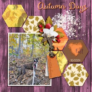 Autumn-Days-24.jpg