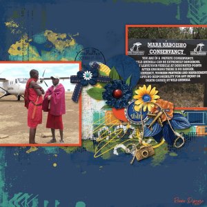Safari Guides