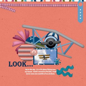 Bi-PlANE-BS_whitespacelove02_template_02.jpg