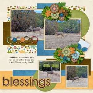 Blessings.jpg