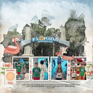 PF-backin-FloridaMFish_WashedJourneysMixed2_02-copy.jpg