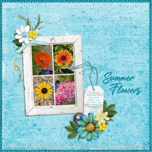 Summer Flowers - 2025