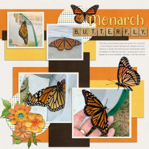 First Monarch of 2025 8-21-25
