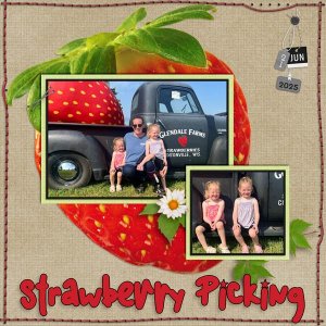 Strawberry Picking W.jpg