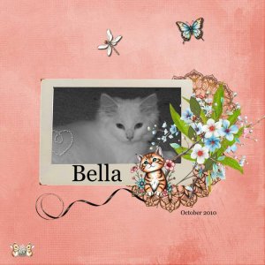 2010 Bella