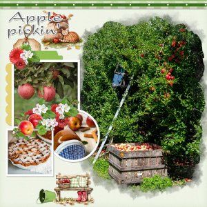 Apple picking