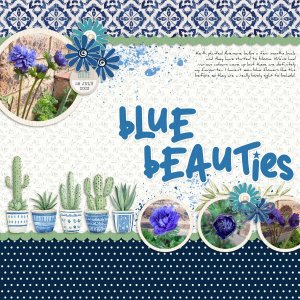 2023-07-28_BlueBeauties