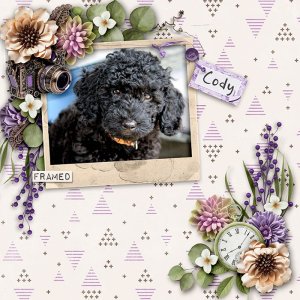 Pup