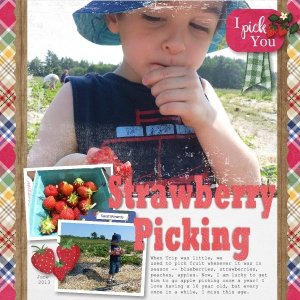 Strawberry Picking - June 2013.jpg