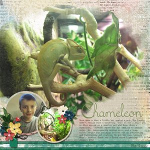 Chameleon