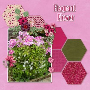 Fragrant Flower