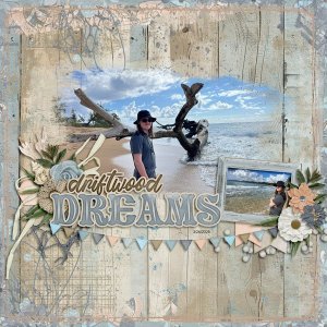 Driftwood-Dreams.jpg