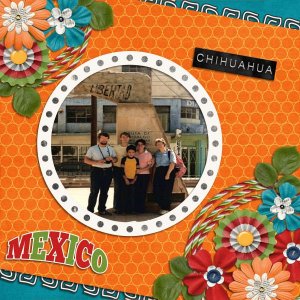 chihuahua 1984