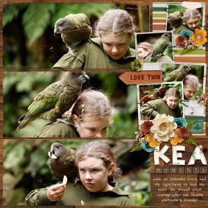 Kea Moments