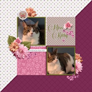 Miss Kitty