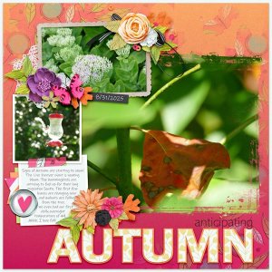 Anticipating Autumn