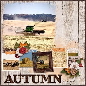 Harvest.jpg