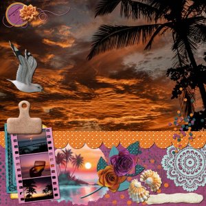 CT-TBC-TropicalS-02-PC-michaela-berndDittrich-hongwei-marlyMele.jpg
