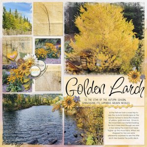 Golden Larch