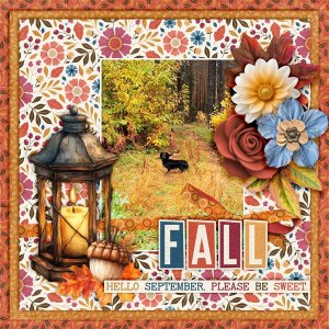 Fall.jpg
