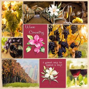 Wine Country.jpg