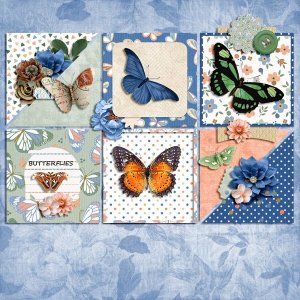 BUTTERFLIES-TEMP-3-9-25-WEB.jpg