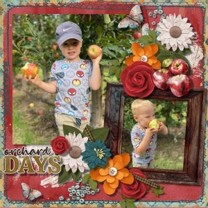Picking Apples