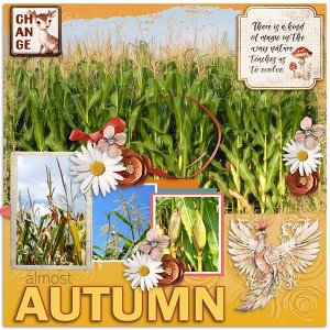 Almost Autumn.jpg