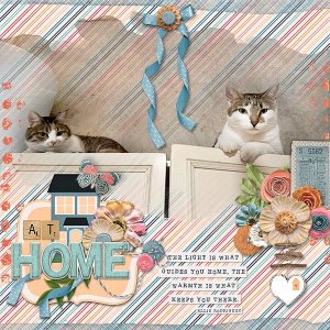 AtHome_ollitko_600.jpg