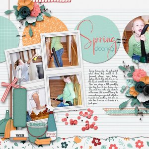 Cleaning Day