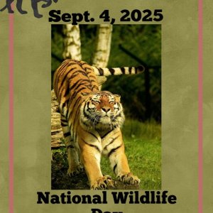 National Wildlife Day