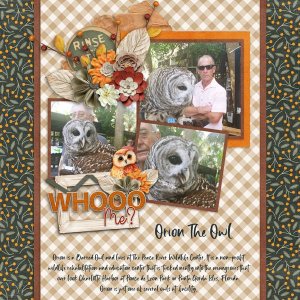 Zero Hoots Given-Connie Prince.jpg