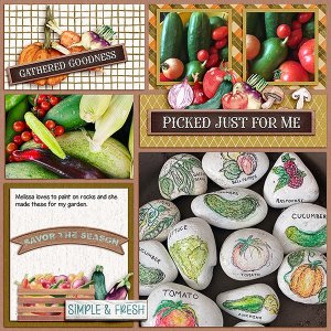 Garden-Rocks.jpg