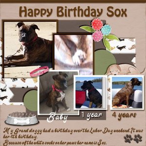 02 Sox Birthday  -- Photography_edited-1.jpg