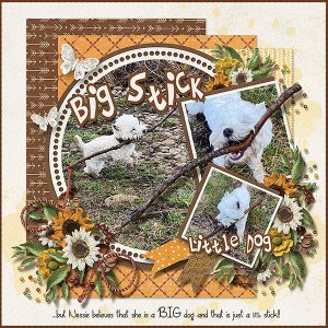 Big-Stick-Little-Dog.web.jpg