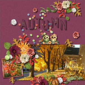 Colours of Autumn