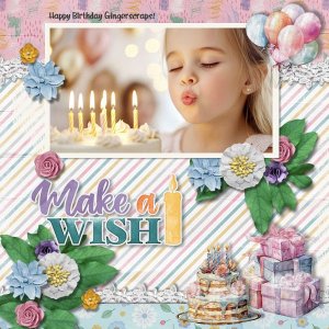 DLPatt_MakeAWish_web.jpg