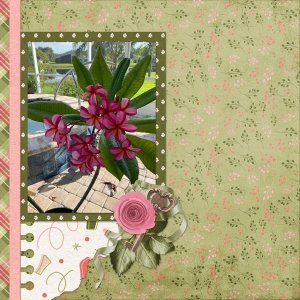 SCD_HBB_SAMPLER_PP16.jpg