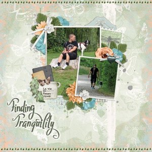 finding tranquility